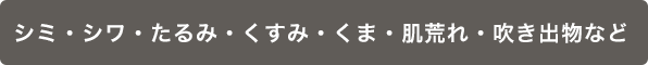 シミ・シワ・たるみ・くすみ・くま・肌荒れ・吹き出物など